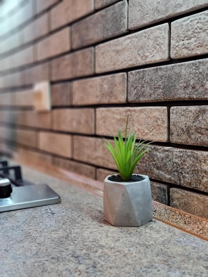 Petropavlivska Apartment Тиха Вуличка В Центрі Старого Міста Kam'janec'-Podil's'kyj Esterno foto